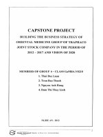 Building the business strategy of oriental medicine group of Traphaco Joint Stock Company in the period of 2012-2017 and vision of 2020