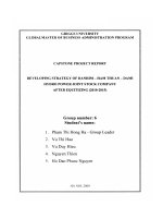 Developing strategy of Danhim - Ham Thuan - Dami hydro power joint stock company after equitizing (2010-2015)