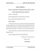 Thực trạng và giải pháp thu hút vốn đầu tư nước ngoài FDI cho mục tiêu phát triển kinh tế Đồng bằng song Cửu Long