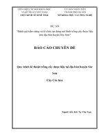 Đặc điểm thực vật, hóa học công dụng của cây Cúc hoa