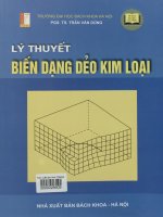 Lý thuyết biến dạng dẻo kim loại
