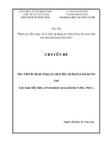 Chuyên đề nghiên cứu đặc điểm thực vật, hóa học, công dụng cây Kim Tiền Thảo