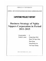 Business strategy of NGHIA Nippers Corporation in period 2011-2015