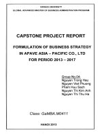 Formulation of business strategy in Apave Asia - Pacific Co., Ltd for period 2013-2017