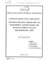 Business strategy for Do Phu Tay Ninh Import - Export Trade and Manufacturing Co., Ltd., in the period 2013-2018