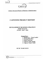 Development business strategy for VIVACO stage 2010 - 2020