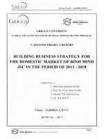 Building business strategy for the domestic market of Binh Minh JSC in the period of 2013-2018
