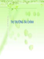 Phân tích chứng khoán của công ty Cổ phần Công Viên Nước Đầm Sen