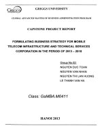 Formulating busines strategy for Mobile Telecom infrastructure and technical services corporation in the period of 2013-2018