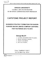 Business strategy formation for Sai Gon Purified Water Limited Company (SAPUWA) for the period 2013 to 2018