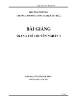 BÀI GIẢNG TRANG TRÍ CHUYÊN NGHÀNH
