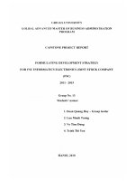 Formulating development strategy for FSC informatics electronic joint stock company (FSC) 2011 - 2015