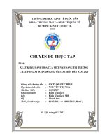 Thực trạng xuất khẩu hàng hóa của Việt Nam sang thị trường châu Phi.