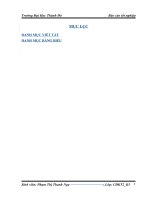 công tác kế toán bán hàng trong đơn vị kinh doanh thương mại dich vụ tại công ty TNHH 1 thành viên Đông Phát.