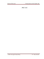 Hoạt động bán sản phẩm nội thất  tại Công ty CP PINCTADALI VIỆT NAM thực trạng và giải pháp