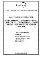 Developmental strategy of Gia Lai Cane suger thermoelectric Joint Stock Company period 2011-2015
