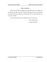 Thực trạng hiệu quả kinh doanh của Công ty CP đầu tư Hà Sơn