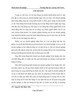 Kế toán bán hàng và xác định kết quả bán hàng tại công ty CP Đầu Tư và Phát Triển Nam Phong