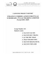 Strategy formulation for PVGAS Subsidiary - PVGAS trading limited period 2011-2025