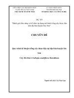 Chuyên đề: Nghiên cứu đặc điểm thực vật, hóa học, công dụng cây Hà thủ ô