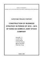 Construction of business strategy in period of 2010 - 2015 of Song Da someco joint stock company
