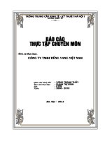 Tình hình tài chính của Công ty TNHH Tiếng Vang Việt Nam