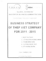 Business strategy of Thep Viet company for 2011-2015
