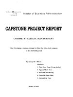 Developing a business strategy for Hien Duc Joint-Stock Company in the 2013-2018 period 3