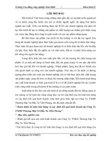 Hoàn thiện kế toán bán hàng và xác định kết quả kinh doanh tại Công Ty TNHH Thương Mại Và Đầu Tư Tiến Phong