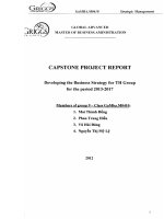 Developing the Business Strategy for TH Group for the period 2013-2017