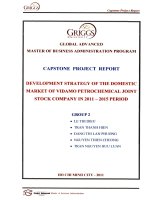 Development strategy of the domestic market of VIDAMO PetroChemical Joint stock Company in 2011-2015 period