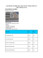 Báo cáo sản phẩm vải mộc tổng công ty việt thắng