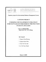 Forming development strategy for Vietnam environment protection funnd in 2010 - 2020