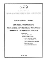 Strategy for exporting Vietnamese natural rubber to Chinese market in the period of 2010-2020