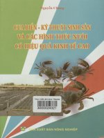 Cua biển - Kỹ thuật sinh sản và các hình thức nuôi có hiệu quả kinh tế cao