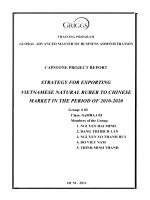 Strategy for exporting Vietnamese Natural Ruber to Chinese Market in the period of 2010-2020