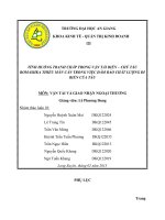 TÌNH HUỐNG TRANH CHẤP TRONG VẬN TẢI BIỂN – CHỦ TÀU ROMASHKA THIẾU MẪN CÁN TRONG VIỆC ĐẢM BẢO CHẤT LƯỢNG ĐI BIỂN CỦA TÀU