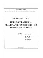 Building strategical real estate business in 2010-2015 for Song Ma Company