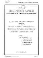 Business strategy of Ba Ria Thermal Power Joint Stock Company, stage 2014-2018
