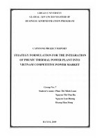 Strategy formulation for the integration of Phu My thermal power plant in to Vietnam Competitive power market