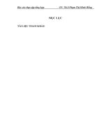Tổng quan về đặc điểm kinh tế- kỹ thuật và bộ máy quản lý hoạt động sản xuất kinh doanh của công ty tnhh phát triển công nghệ thông tin 3com