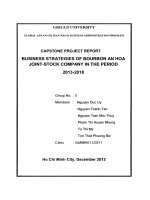 Business strategyies of Bourbon An Hoa Joint- Stock Company in the period 2013-2018
