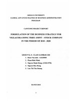 Formulation of the business strategy for Viglacera Dong Trieu joint - stock company in the period of 2010 - 2020