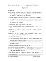 Báo cáo tổng hợp tại Công ty CP ĐT-TM TNG