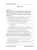 Tổ chức bộ máy kế toán và hệ thống kế toán tại công ty cổ phần đầu tư và phát triển Thái Dương