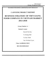 Business strategy of Tien Giang Food Company in Vietnam market 2013-2018