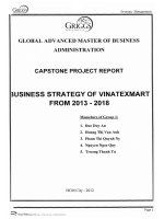 Business strategy of VINATEXMART from 2013-2018