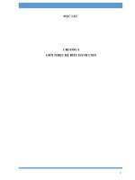 TÌM HIỂU HÊ ĐIỀU HÀNH UNIX
