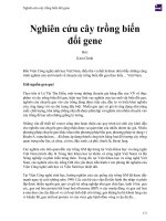 Nghiên cứu cây trồng biến đổi gene