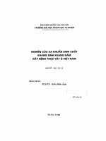 Nghiên cứu xạ khuẩn sinh chất kháng sinh kháng nấm gây bệnh thực vật ở Việt Nam
